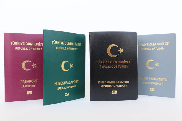 Türkiye Pasaport Çeşitleri